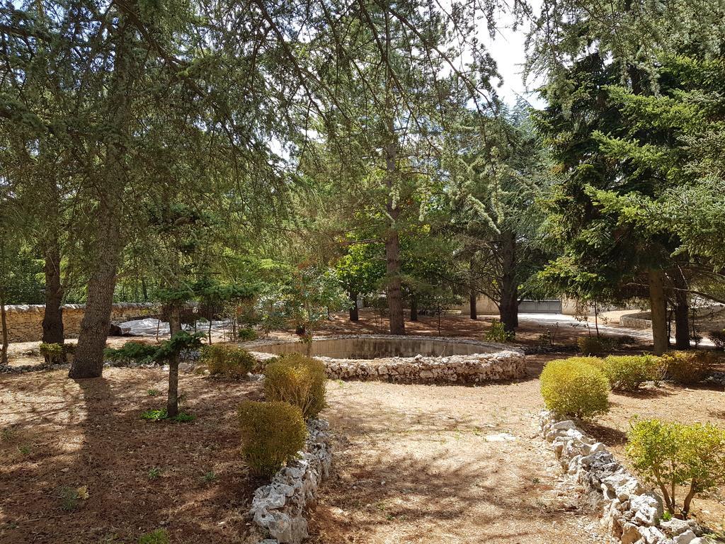 Villa Venus Woods Мартіна-Франка Екстер'єр фото